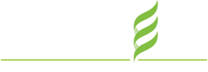 REACH26-logo-white-transparent-background